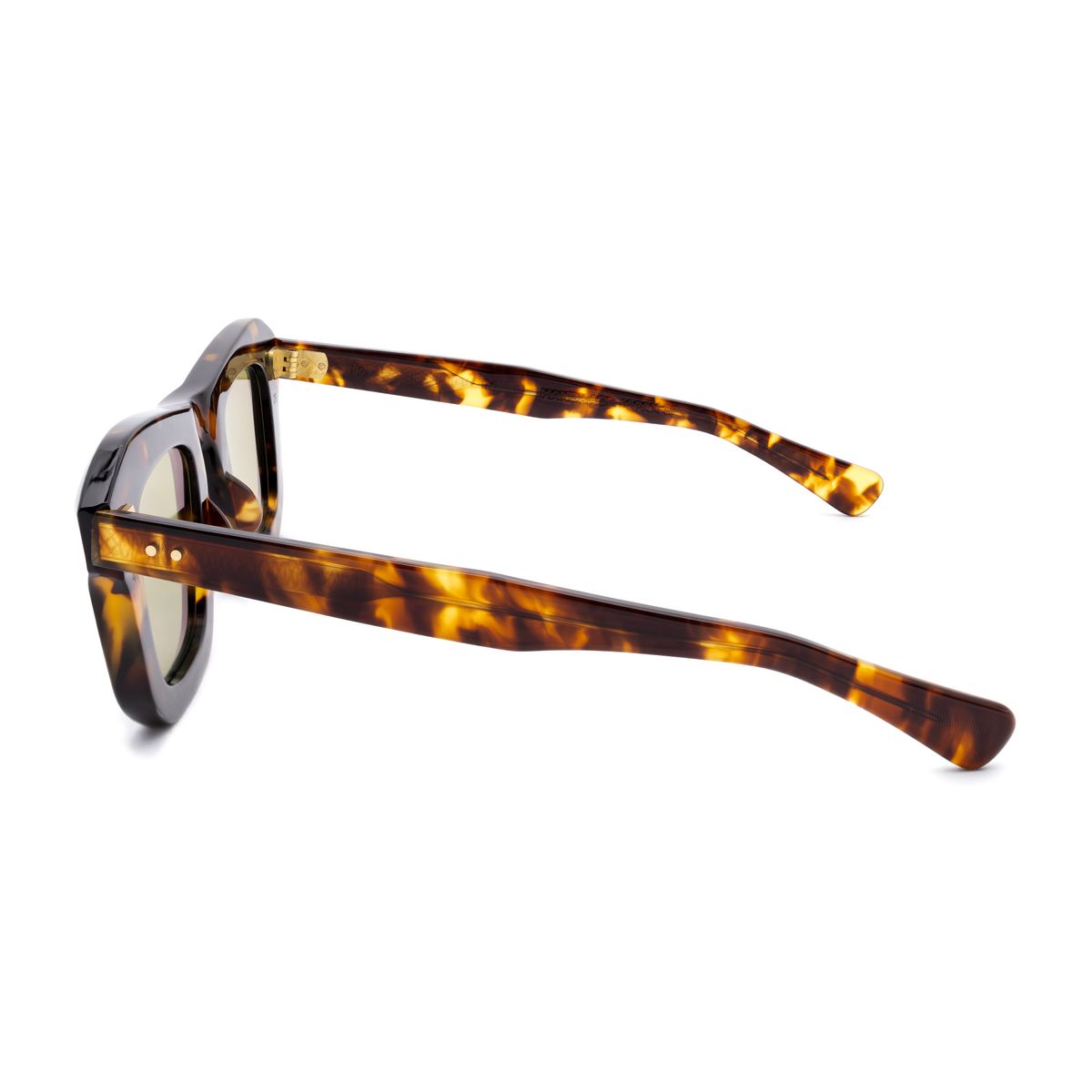 Max Pittion Monstre, Dark Tortoise